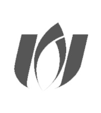 نظام صنفی رایانه‌ای