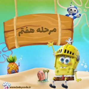 مجوز مرحله هفتم باب برنامه نویس