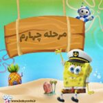 مجوز مرحله چهارم باب برنامه نویس