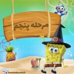مجوز مرحله پنجم باب برنامه نویس