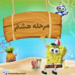 مجوز مرحله هشتم باب برنامه نویس