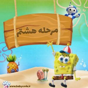 مجوز مرحله هشتم باب برنامه نویس