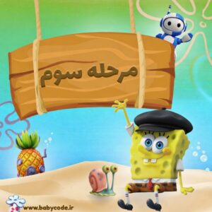 مجوز مرحله سوم باب برنامه نویس